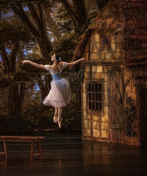 Natalia Osipova, Ballet Giselle, Ballet Dance Photography, Ballet Pictures, Ballet Beauty, Ballet Inspiration, Ballet Art, Classical Ballet, Ballet Photography