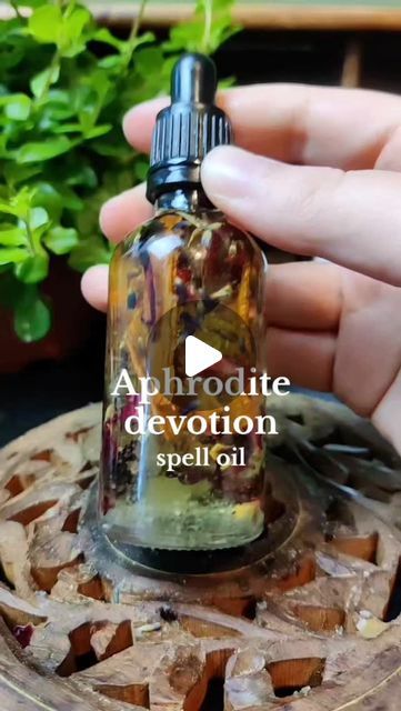 Raven 🌿✨ | Witchcraft Coach on Instagram: "Aphrodite devotion spell oil! 💘✨  You can make this oil as a way to express your reverence and devotion to her. This oil can be used during rituals, prayers, or as an offering, enhancing your spiritual connection with Aphrodite. 🐚  #spelljar #spellwork #spelljartutorial #magicalherbs #witch #witchcraft #witches #magic #herbs #herb #spellwork #spell #greenwitch #witchcraft101 #babywitch #witchtip #witchtok #vvitchtok #witchesofinstagram🔮🌙 #witchesoftiktok🔮🌙 #beginnerwitch101 #beginnerwitch" Spell Oil Recipe, Aphrodite Oil, Glamour Spell, Shadow Book, Witch Crafts, Beauty Spells, Magic Herbs, Magical Herbs, Baby Witch