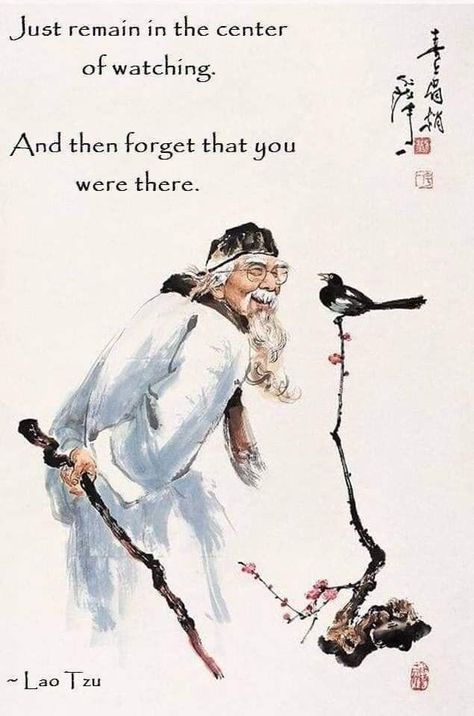 Zen Proverbs, Mystic Quotes, Lao Tzu Quotes, Zen Quotes, Tao Te Ching, Buddhist Quotes, Awakening Quotes, Zen Buddhism, Lao Tzu