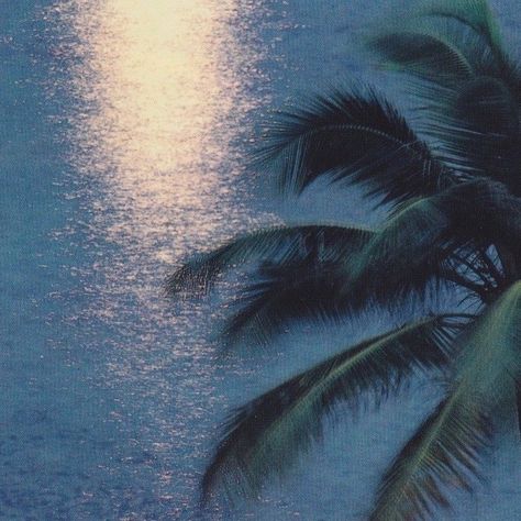 Jolie Photo, Summer Feeling, Summer Dream, Beach Vibe, Amalfi Coast, Summer Aesthetic, Palm Tree, Rio De Janeiro, The Ocean