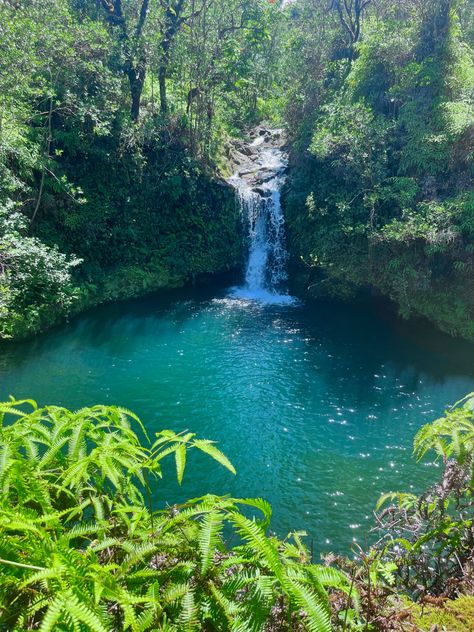 Tropical Waterfall Aesthetic, Pretty Waterfall Aesthetic, Waterfall Astethic, Hawaiian Waterfalls, Hawaii Rainforest, Waterfalls Aesthetic, Waterfall Tropical, Hawaii Forest, Hawaii Jungle