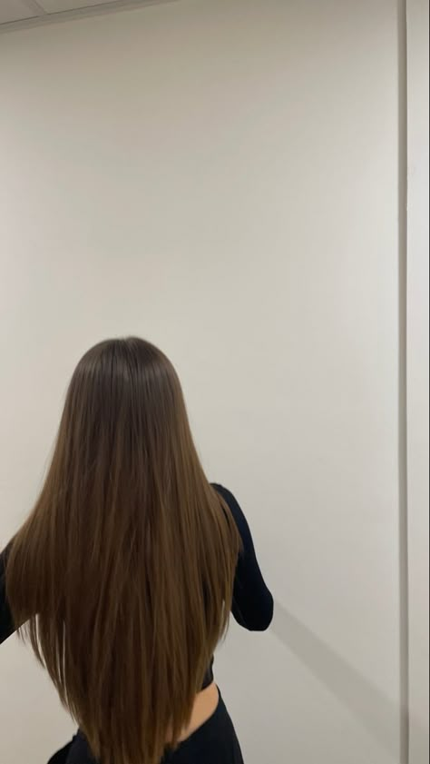 Long Hair Cuts Straight Layers, Sharp V Haircut For Long Hair, Long Hair Aesthetic Straight, V Haircut For Long Hair Straight, V Shaped Haircut Straight Hair, Long Hair Cuts V Shape, Straight Smooth Hair, V Shaped Long Hair, Long Smooth Hair