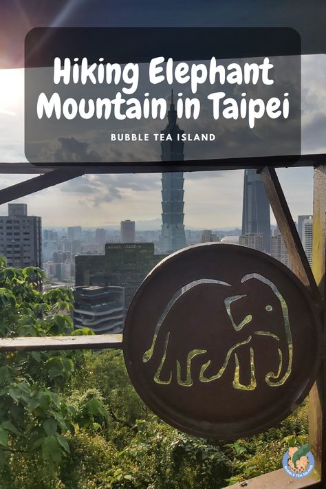 view of Taipei city from Elephant mountain Inland Taipan, Taipei Instagram Spots, Taroko Gorge Taiwan, Yehliu Geopark Taiwan, Elephant Mountain Taipei, Taipei Travel, Taipei 101, Lush Forest, Taipei