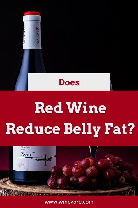 Wine Health Benefits, Red Wine Health Benefits, Benefits Of Red Wine, Red Wine Benefits, Wine Benefits, Wine Facts, Wine Games, Best Red Wine, Wine Guide