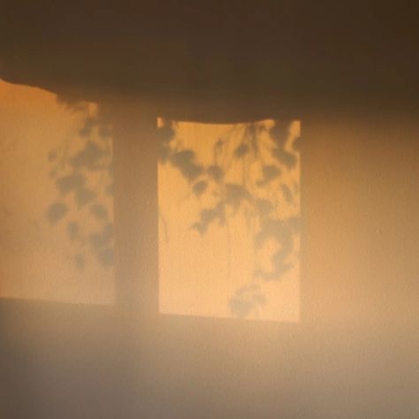 Sunlight On Wall Aesthetic, Sunlight Window, Sunlight On Wall, Window Sunlight Aesthetic, Lights And Shadows, Window Shadow Aesthetic, Light Moodboard, Sunlight Painting, Sunlight Art