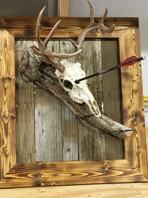 Rustic Deer Mounts, European Deer Mount Ideas, Hunting Decor Living Room, Skull Mount Ideas, European Mount Ideas, Hunting Room Design, Deer Mount Decor, Deer Skull Decor, Deer Mount Ideas