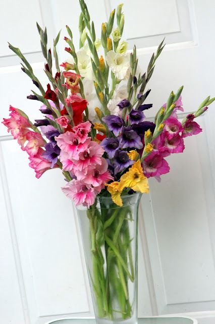 Gladiolus Arrangements Vase, Gladiola Flower Arrangements, Gladiola Arrangements, Gladius Flower, Gladiolus Flower Arrangements, Gladiola Flower, Gladiolus Bouquet, Gladiolus Arrangements, Hollyhocks Flowers