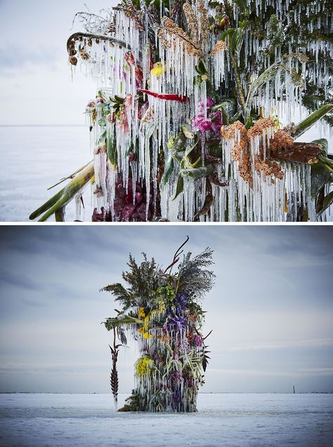 Azuma Makoto, Frozen Flowers, Flower Installation, Environment Concept Art, Japanese Artists, Environmental Art, Floral Arrangement, Flower Wall, Installation Art