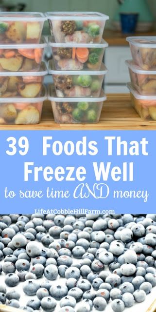 How To Freeze Food, Veggies To Freeze, Food That Freezes Well, Foods That Can Be Frozen, What Food Can You Freeze, Foods To Make And Freeze, Foods That Freeze Well, Vegetables That Freeze Well, Food To Freeze Dinners