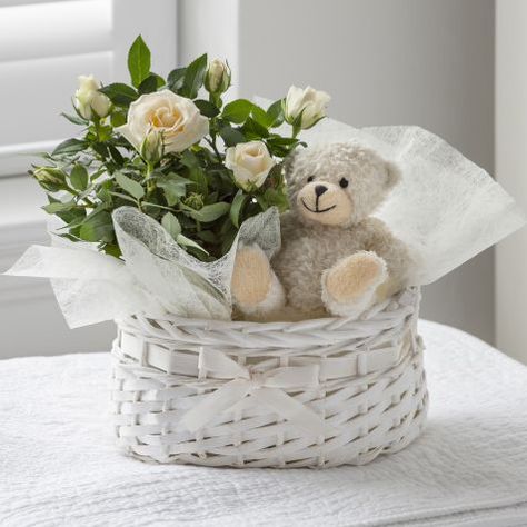 Baby Hamper Ideas Gift Baskets, Plant Gift Basket, Baby Flower Bouquet, Baby Boy Flowers, Teddy Bear Basket, Bucket Gifts, Baby Bouquet, Candy Bouquet Diy