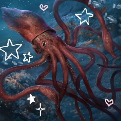 Marine Life Pfp, Cephalopod Wallpaper, Marine Widgets, Squid Aesthetic, Animals In The Ocean, Ocean Icons, Cute Squid, Cool Sea Creatures, Cute Sea Animals