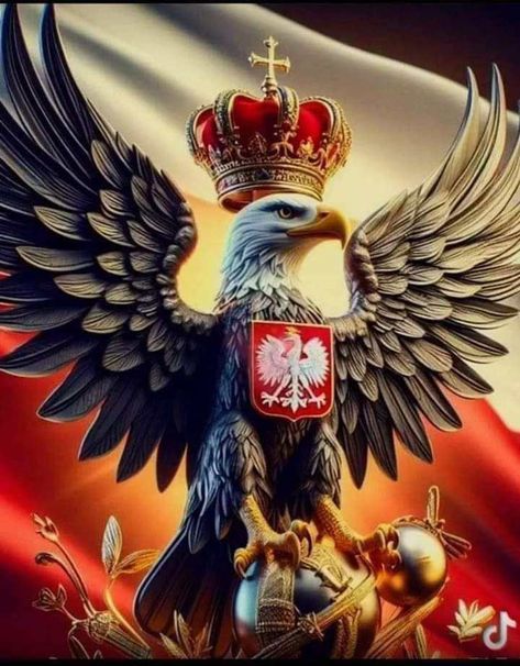 Polish Flag Tattoo, Polish Hussar Tattoo, Polish Flag Wallpaper, Polish Falcon Tattoo, Poland Flag Aesthetic, A Letter Wallpaper, Punisher Logo, Polish Eagle, Poland Flag