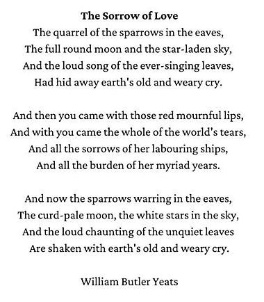 19th Century Poetry, Yeats Poems, Theory Of Life, Fav Poetry, W B Yeats, Poetry Slam, William Butler Yeats, Poet Quotes, Slam Poetry