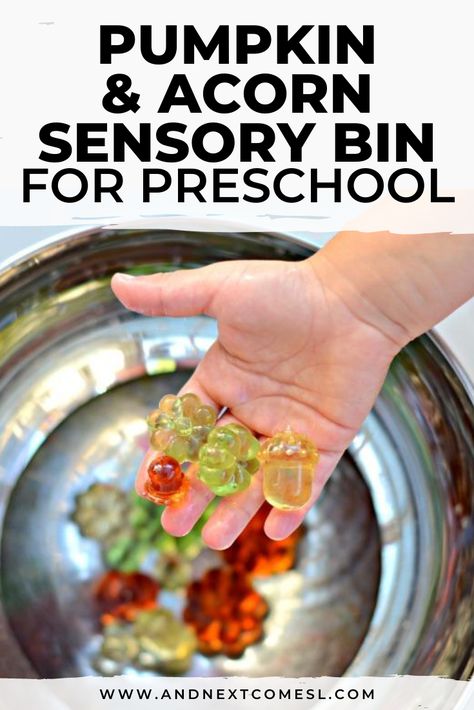 Looking for pumpkin and acorn sensory activities for toddlers or preschoolers? Then try this super simple pumpkin and acorn sensory bin with water. It's a great way to work on fine motor skills! #sensory #sensoryplay #sensorybins #sensorybin #acornactivities Pumpkin Soup Activities, October Preschool Themes, Water Sensory Play, Water Play For Kids, Fall Activities For Toddlers, Toddler Sensory Bins, Sensory Diet, Pumpkin Activities, Sensory Activities Toddlers