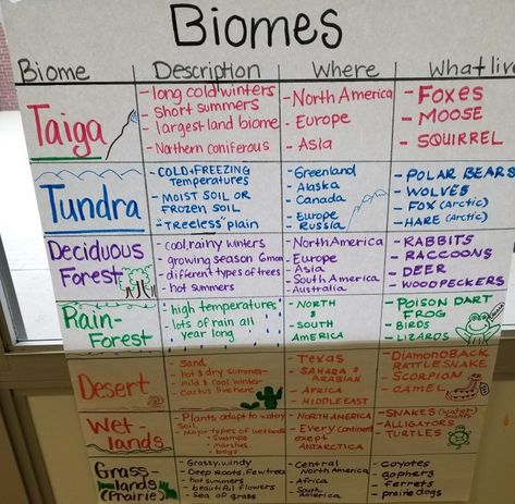 Biome Anchor Chart, Biomes Anchor Chart, Life Science Anchor Charts, Ecosystem Anchor Chart, Ecosystem Notes, Tundra Project, Montessori Space, Science Lessons Middle School, Earth Science Lessons