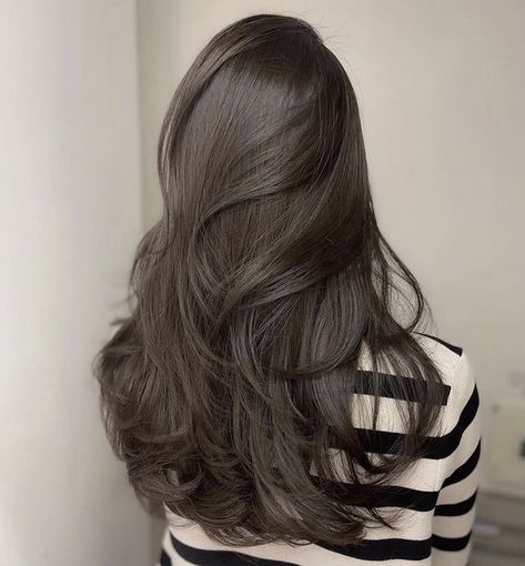 Dark Ash Hair Color, Dark Ash Brown Hair Colour, Cool Tone Brown Hair, Brown Hair Korean, Glossy Brunette, Dark Ash Brown Hair, Ashy Brown Hair, Cool Brown Hair, Dark Chocolate Brown Hair