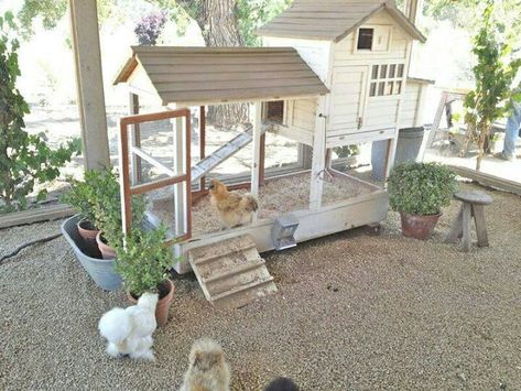 Need to do this with my Silkie coop Cute Chicken Coops, Patina Farm, Raised Garden Bed Plans, Chicken Coop Designs, Chicken Garden, Diy Raised Garden, Keeping Chickens, Building A Chicken Coop, Chicken Coop Plans