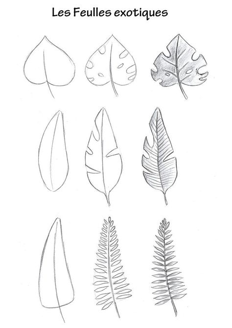 Different Leaf Drawings, Botanical Sketches Simple, Simple Leaves Drawing, How To Draw Leaves, Foliage Drawing, Leaf Lessons, Leaf Sketch, Drawing Leaves, Drawing Plants