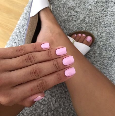 OPI on Instagram: “Tag someone who always has a perfect mani/pedi 💅@josipabyopi Shade: #ModAboutyou #OPIObsessed #ColorIsTheAnswer #NOTD #NailSwag…” Baby Pink Nails Acrylic, Short Pink Nails, Pink Toe Nails, Cute Pink Nails, Baby Pink Nails, Acrylic Toe Nails, Light Pink Nails, Pink Manicure, Her Nails