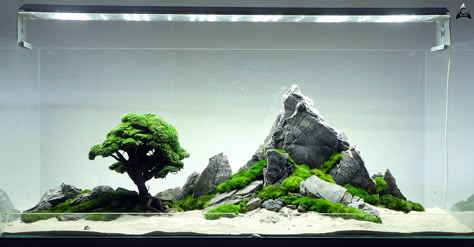 Mountain aquarium Aquarium Layout Ideas, Japanese Aquascape, Mountain Aquascape, Minimalist Aquarium, Aquascape Bonsai, Bonsai Aquarium, Nature Tank, Fish Aquarium Decorations, Aquarium Sand