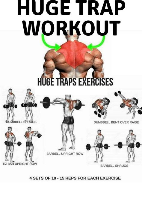 Want huge trap? Try this huge trap workout for twice a week!  #gym #muscle #workout #exercise #technique #motivation  #trap Shoulder And Trap Workout, Trap Workout, Traps Workout, Gym Workout Planner, Beginner Workouts, Gym Antrenmanları, Gym Workout Chart, Gym Workouts For Men, Trening Fitness