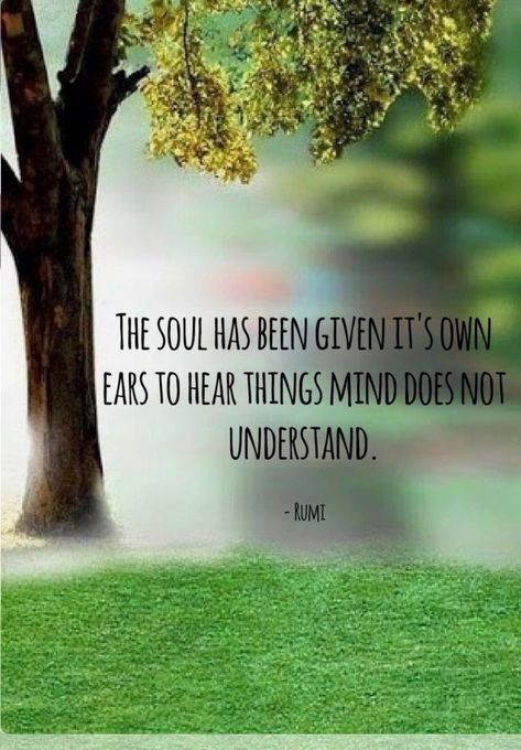 "The soul has been given its own ears to hear..." - Rumi. Rumi Quotes Soul, Eckart Tolle, Rumi Poetry, Rumi Love Quotes, Sufi Mystic, Rumi Love, A Course In Miracles, Rumi Quotes, Rumi