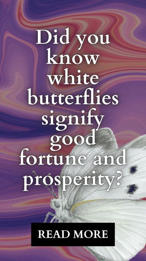 You won’t need to worry about what does it mean when you see a white butterfly. It is an excellent sign to see a white butterflies. When this happens, it usually indicates that you will overcome some obstacles. White Butterfly Meaning, Spiritual Animals, Butterfly Symbolism, Butterfly Meaning, Spiritual Animal, White Butterflies, Spiritual Transformation, Lovely Creatures, Future Goals