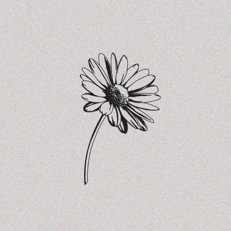 Paradox Tattoo, Daisy Drawing, Daisy Tattoo, Dainty Tattoos, White Tattoo, Seoul Korea, Tattoo Stencils, Stay True, Tiny Tattoos