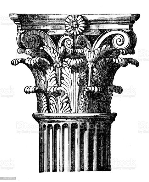 Greece Corinthian Capital. /Nancient Greek Corinthian Capital. Line Engraving Greece Tattoo, Corinthian Capital, Column Capital, Architectural Columns, Garden Pond Design, Corinthian Column, Roman Columns, Interior Design Resources, Pond Design