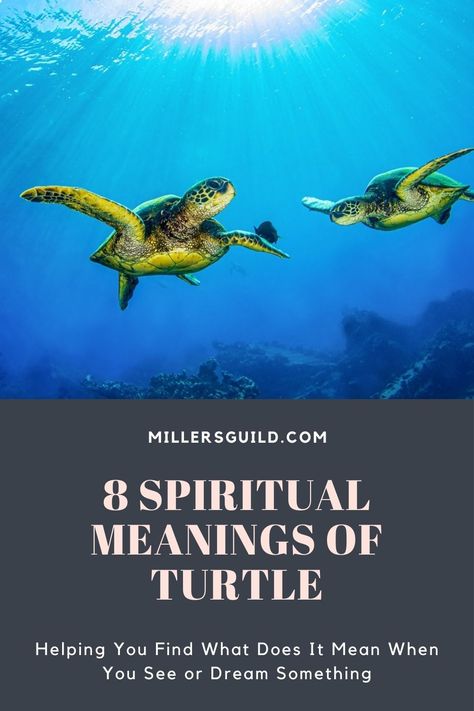 8 Spiritual Meanings of Turtle Sea Turtle Tattoo Meaning, Turtle Tattoo Meaning, Animals Symbolism, Sea Turtle Tattoos, Turtle Meaning, Hawaiian Turtle Tattoos, Turtle Spirit Animal, Turtle Symbolism, Turtle Quotes