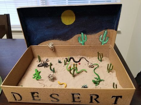 Desert Biome Project Desert Shoe Box Project, Desert Biome Shoebox Project, Dessert Ecosystem Project, Biome Projects For Kids, Desert Diorama Ideas For Kids, Desert Habitat Project, Desert Diorama Projects, Desert Project For School, Desert Habitat Projects For Kids