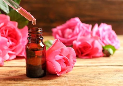 How To Make Essential Oils At Home | Homesteading Skills Learning Herbs, Homemade Essential Oils, Making Essential Oils, How To Make Oil, Cosmetic Logo, Homesteading Skills, Essential Oil Benefits, Organic Cosmetics, Rose Essential Oil