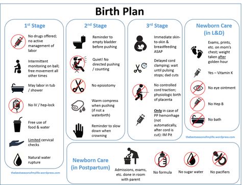 Confession time: I didn’t even write a birth plan for my first birth.  I know, shocking considering the fact that I’m extremely Type A and like to be in control of things.  But I was sk… Visual Birth Plan Template, Visual Birth Plan, Natural Birthing Plan, Birth Plan Template, Baby Delivery, Pregnancy Labor, Birth Doula, Baby Planning, Birth Labor