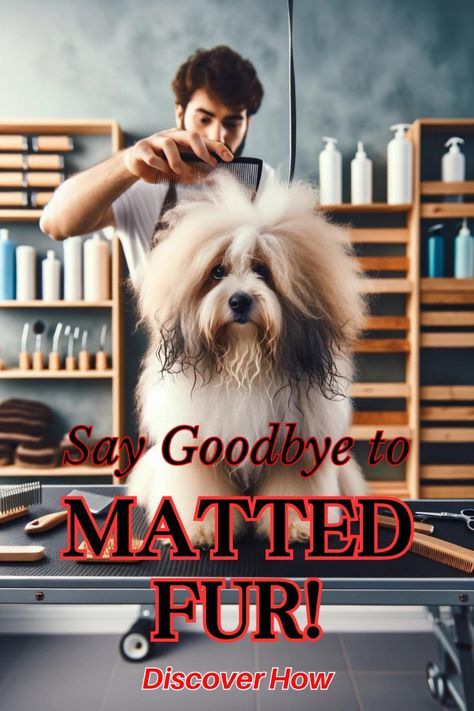 Matted Dog Hair, Grooming Women, Dog Grooming Diy, Grooming Hacks, Dog Grooming Styles, Creative Grooming, Pet Grooming Supplies, Matted Hair, Shaving Tips