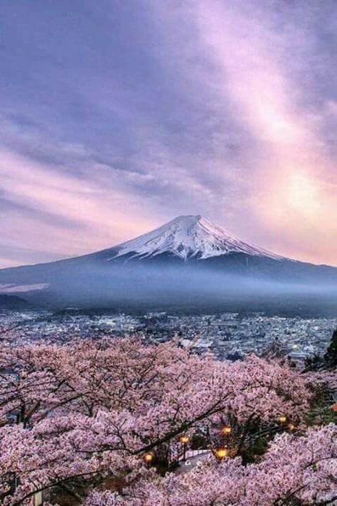 Beautiful. Fuji Yama I think. Mount Fuji Japan, Monte Fuji, Fuji Mountain, Mont Fuji, Japan Photography, Japan Photo, Mount Fuji, Cherry Blossoms, Japan Travel