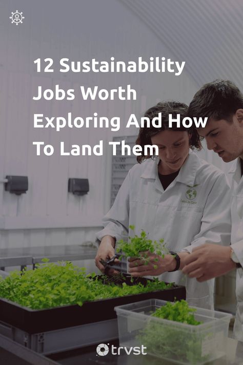 🌎💼 Explore ways your passion for the planet can define your profession.👩‍🔬👨🏽‍💼 With 12 rewarding green jobs, your career can leave a positive impact. Discover myriad roles from conservation analyst to sustainability marketer and start a greener journey today! 💚🌳 #GreenJobs #Sustainability #EcoFriendlyCareers #CareerChange #MakeADifference Graduate Early, Green Jobs, Environmental Scientist, Online Conference, Sustainable Transport, Environmental Engineering, Environmental Problem, Transportation Engineering, Environmental Studies