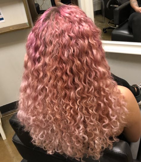 🌸 Pink Curlies 🌸 Dusty Pink Curly Hair, Curly Pink Hair Aesthetic, Pastel Pink Curly Hair, Pink Highlights Curly Hair, Light Pink Curly Hair, Pink Profile Picture, Curly Pink Hair, Pink Curly Hair, Brown And Pink Hair