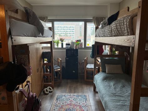 Ucla Dorm Room Triple, Uchicago Dorm, Ucla Dorm, Dorm Vibes, Manhattan College, Lawrence University, Lincoln University, University Of Delhi, Loyola University