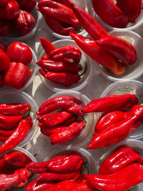 #Red | #redhot | #redaesthetic | #peppers | #farmersmarket | #vegan | #spicy | #pictureideas | #farmersmarket #pictureideas | #redinstagramfeed | #redinspiration | Spicy Red Aesthetic, Paprika Aesthetic, Bell Peppers Aesthetic, Red Pepper Aesthetic, Fiery Red Aesthetic, Spicy Aesthetic, Pepper Aesthetic, Red Picnic, Red Lights