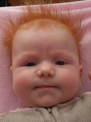 This is the most ginger baby I have ever seen. And therefore the most adorable. Ginger Babies, Baby Faces, Little People, Funny Babies, Funny Kids, Baby Pictures, Baby Love, Baby Photos, Redheads