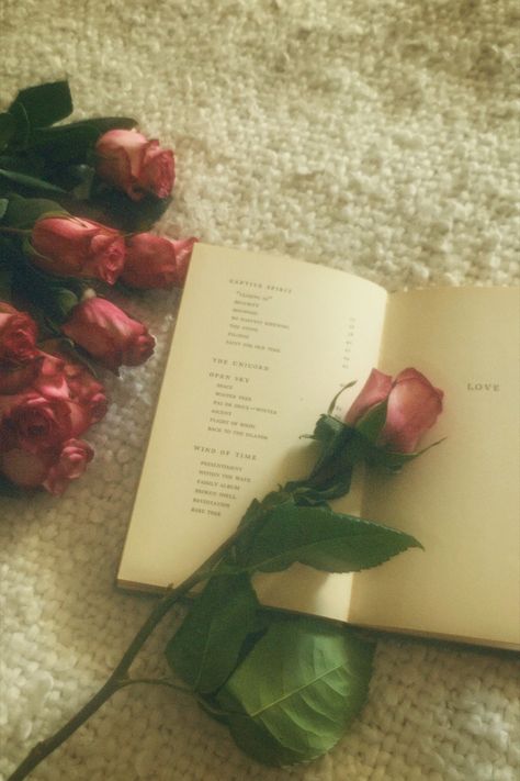 Couples Journal Prompts, Romantic Academia Aesthetic, Rosé Core, Couples Journal, Lovecore Aesthetic, Romantic Academia, Romantic Wallpaper, Romantic Photoshoot, Aesthetic Roses