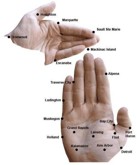 Michiganders get to flawlessly use our own hands as a map. It’s the most convenient thing ever. Michigan Accent, Map Of Michigan, Michigan Girl, Sault Ste Marie, What A Wonderful World, Slang Words, Michigan Travel, State Of Michigan, Mackinac Island