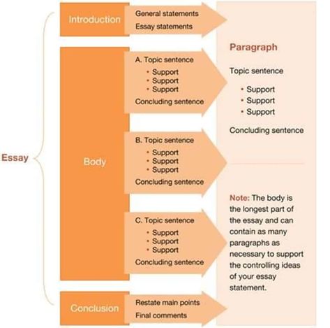 Step-By-Step Guide to Essay Writing 14 Essay Writing Structure, Essay Writing Examples, College Essay Examples, Admission Essay, Essay Structure, Expository Essay, Academic Essay Writing, College Writing, Ielts Writing