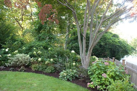 Bungalow Landscaping, Corner Landscaping, Trees For Front Yard, Palm Trees Landscaping, Backyard Trees, Privacy Landscaping, Corner Garden, Cottage Garden Design, Easy Landscaping