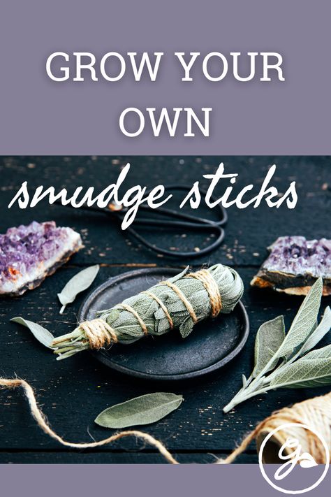 You can make a smudge stick and carry out your own rituals by growing and drying sage and other herbs. Click to learn how. Herb Smudge Sticks, Lavender Sage Smudge Sticks, How To Make Sage Bundles Smudge Sticks, How To Make Your Own Sage Smudge Stick, How To Make Smudge Bundles, Growing Sage For Smudging, How To Make A Smudge Stick Diy, Sage Sticks Smudging, Making Sage Bundles