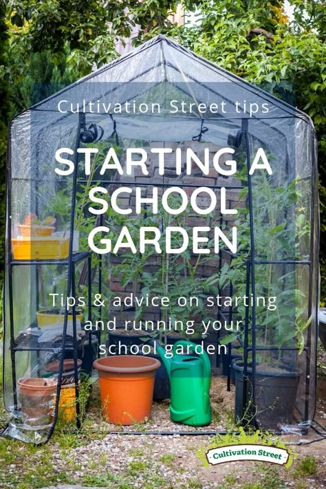 School Gardening Club Ideas, School Veggie Garden, School Greenhouse Ideas, Primary School Garden Ideas, Small School Garden Ideas, School Garden Layout, Middle School Garden, School Allotment Ideas, School Sensory Garden Ideas