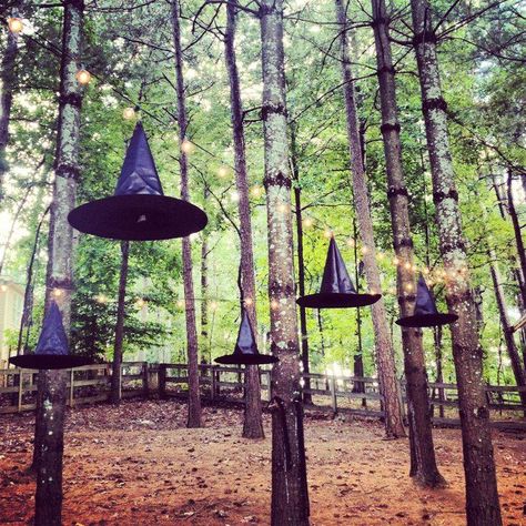 Have fun in the trees this Halloween!!! Hang witches hats and black or orange lights throughout. Throw some glitter or glow stick goo all over for a creepier look. Backyard Party Decorations, Halloween Camping, Hocus Pocus Party, Witches Hats, Halloween Eve, Theme Harry Potter, Diy Halloween Decor, Adult Halloween Party, Halloween 2015