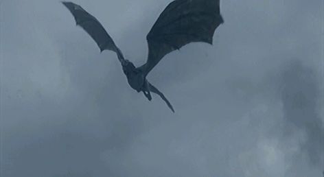 Dragon Gif Aesthetic, Dragon Flying Gif, Wyvern Dragon, Drogon Game Of Thrones, Dragon Gif, Dragon Anatomy, Game Of Thrones Poster, Game Of Thrones Dragons, Got Dragons