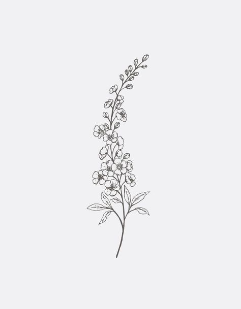 Delphinium Tattoo Black And White, Small Delphinium Tattoo, Larkspur Line Art, Larkspur Fine Line Tattoo, Delphinium Embroidery, Delphinium Flower Drawing, Delphinium Illustration, Lilac Outline, Delphinium Flower Tattoo