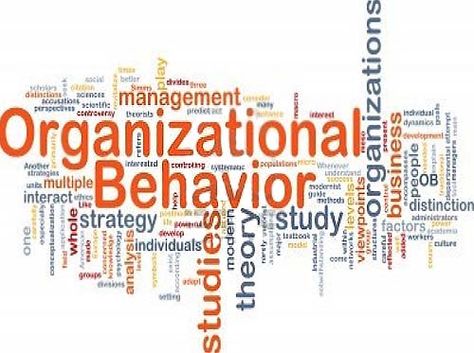 organizational behavior (OB) as "the study of human behavior in organizational settings, the interface between human behavior and the organization, and the organization itself." Behavior Goals, Scientific Management, Mental Map, Organization Development, Behaviour Strategies, Organizational Behavior, Critical Essay, Social Behavior, Human Behavior